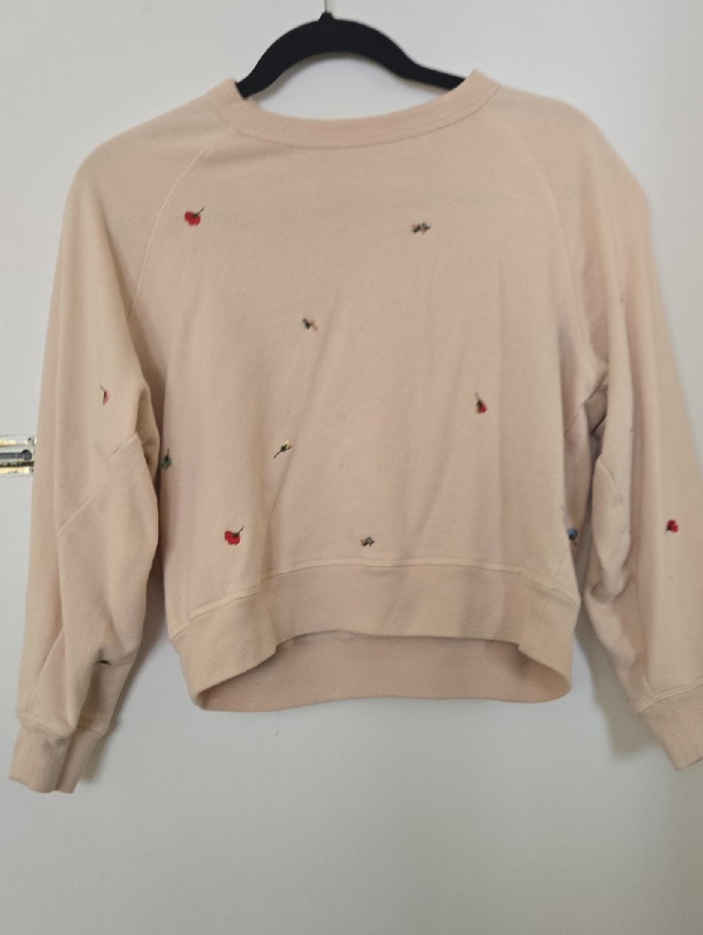 Embroidered Floral Crewneck Sweatshirt - Beige
